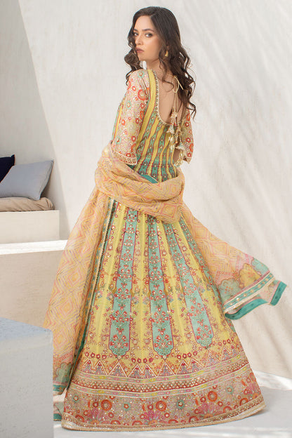 Lemon And Celadon Printed Cotton Net Peshwas With Printed Organza Dupatta