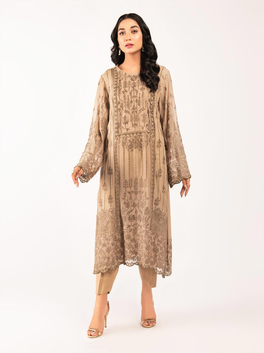 Embroidered Chiffon Suit