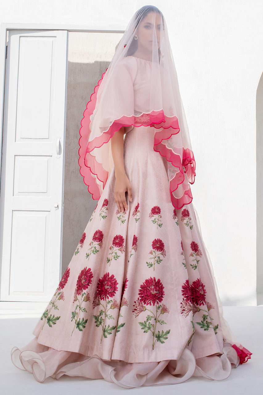 Baby Pink Silk Choli With A Printed Self Jamawar Lengha