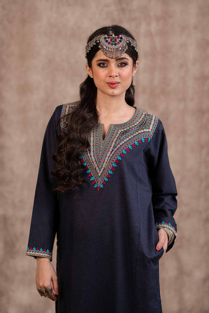 Nishat Linen - 2 Piece - Embroidered Suit - PW23-04