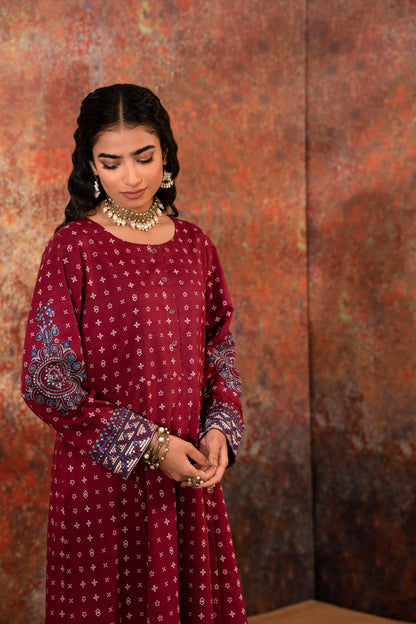 Nishat Linen - 2 Piece - Printed Embroidered Suit - PW23-204