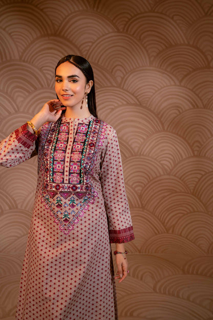 Nishat Linen - 2 Piece - Printed Embroidered Suit - PW23-217