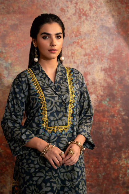 Nishat Linen - 2 Piece - Printed Embroidered Suit - PW23-252