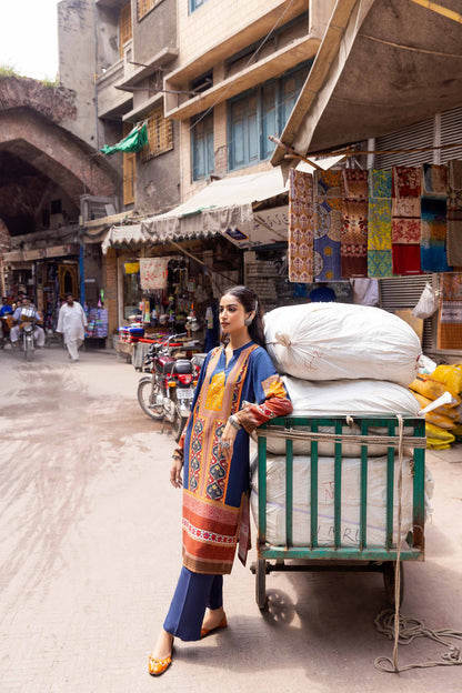 Nishat Linen - 2 Piece - Printed Suit - PW23-310