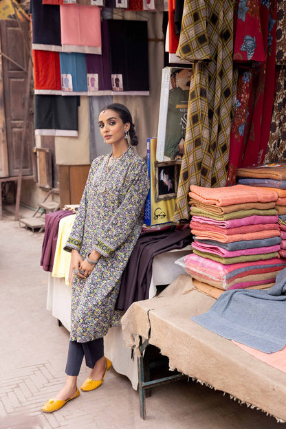 Nishat Linen - 2 Piece - Printed Suit - PW23-318