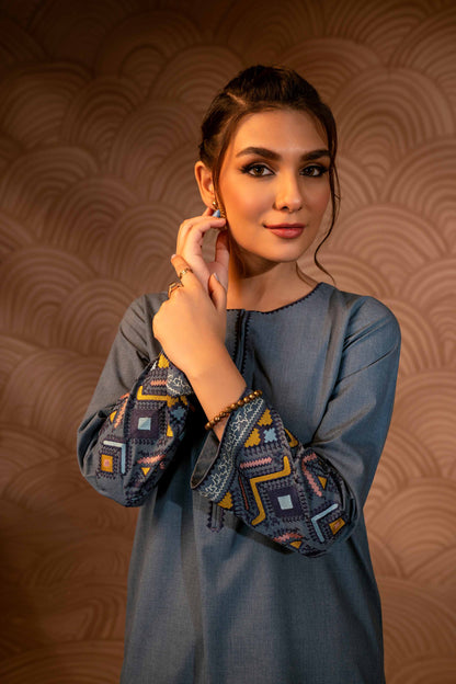 Nishat Linen - 2 Piece - Embroidered Suit - PW23-49