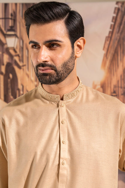Dyed Embroidered Blended Kurta Shalwar