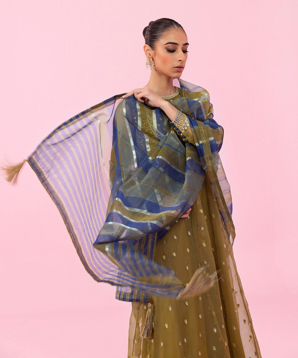 Sapphire - 2 Piece - Embroidered Organza Suit