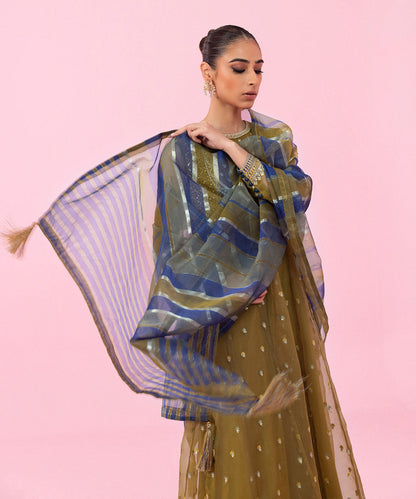 Sapphire - 2 Piece - Embroidered Organza Suit