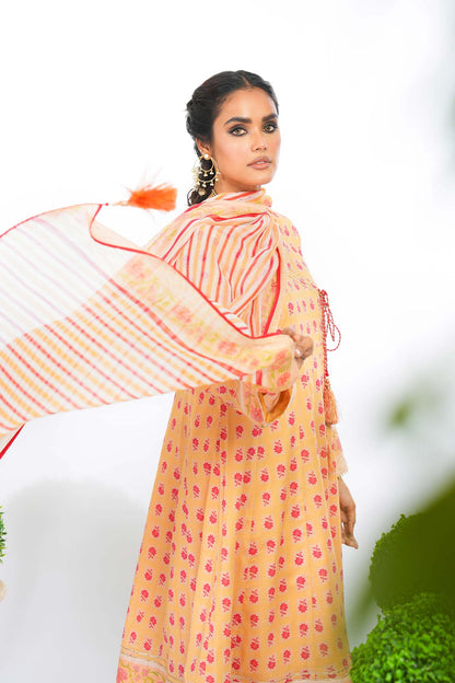 2 Pc Printed Lawn Suit With Chiffon Dupatta