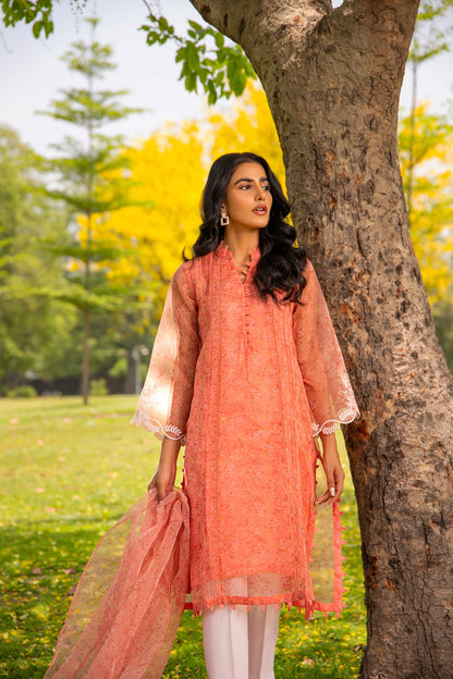 BTW - EMBROIDERED PRINTED SHIRT WITH DUPATTA