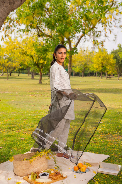 BTW - THREE PIECE WITH EMBROIDERED DUPATTA