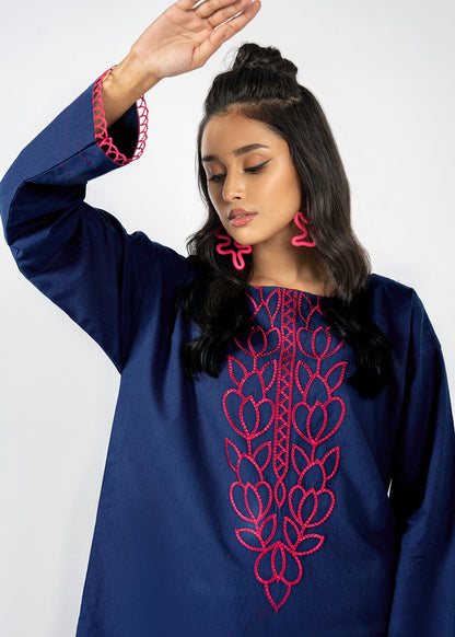 Dyed Embroidered Dobby Kurti