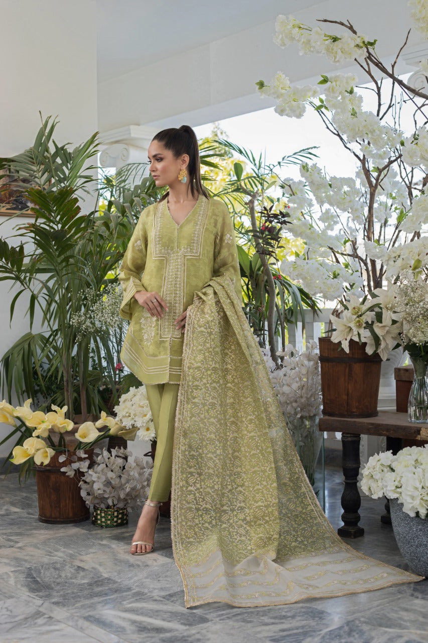 Zari Embroidered Cotton Net Kurta And Trouser with Dupatta