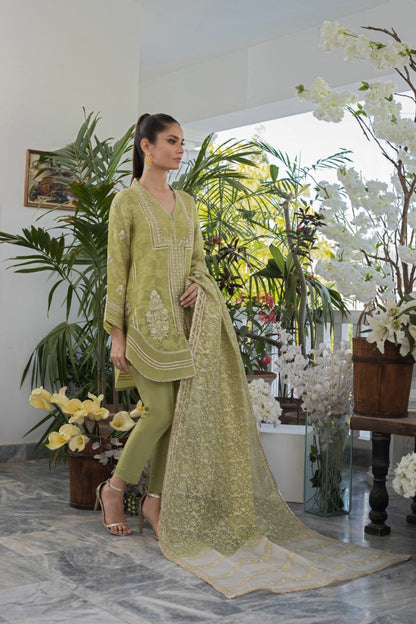 Zari Embroidered Cotton Net Kurta And Trouser with Dupatta