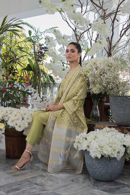 Zari Embroidered Cotton Net Kurta And Trouser with Dupatta