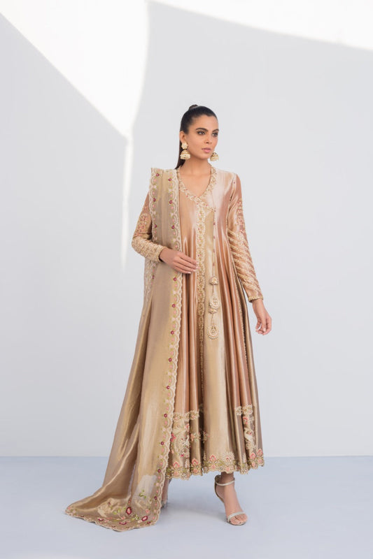 Tissue Embellished Rose Gold Peshwas