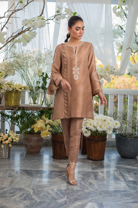 Pintex Detailing Raw Silk Kurta