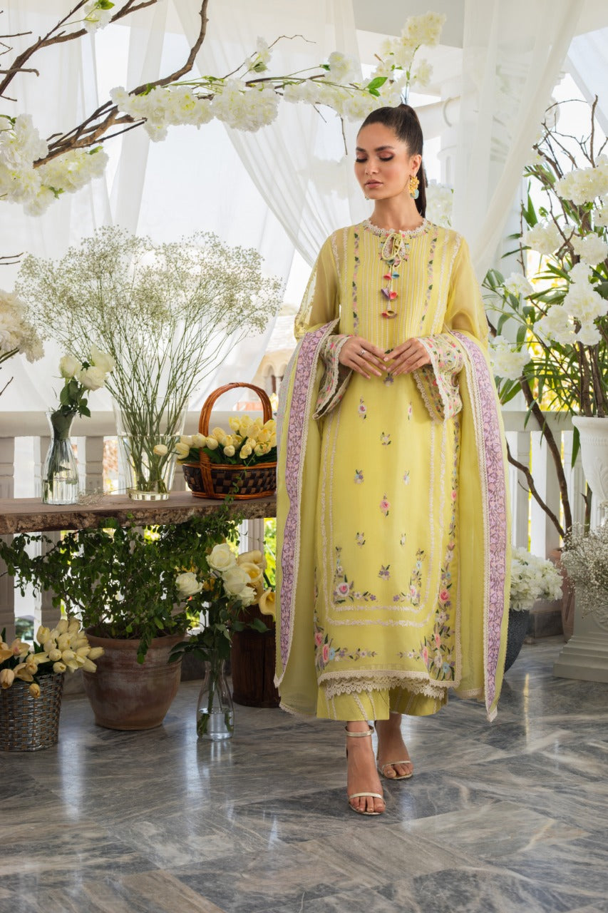 Organza Intricate Machine Ari Embroidery Shirt And Izaar with Dupatta