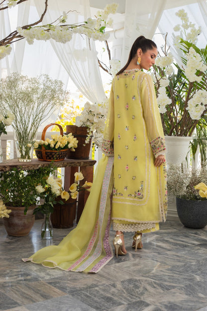 Organza Intricate Machine Ari Embroidery Shirt And Izaar with Dupatta