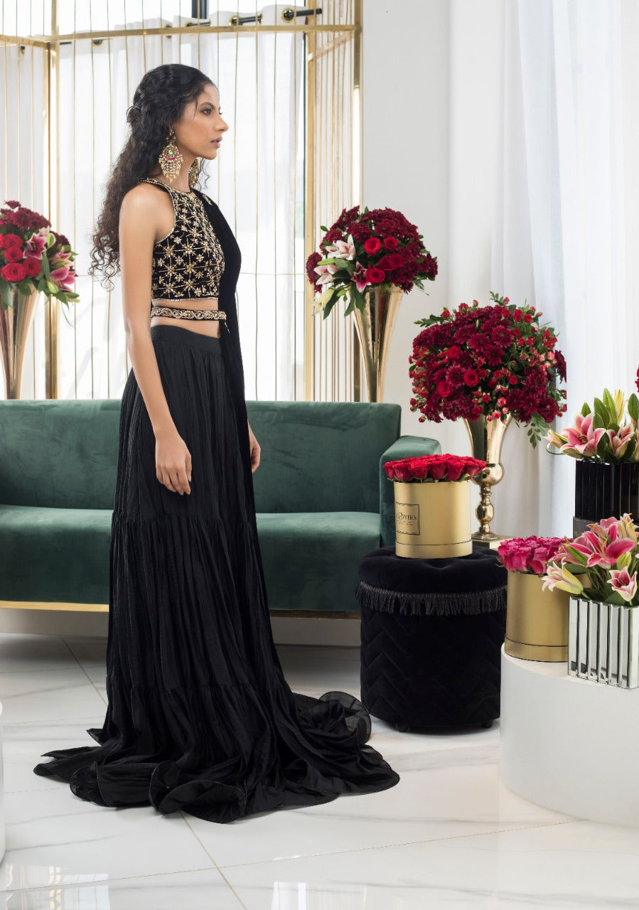 Ebony Velvet Choli And Lehnga