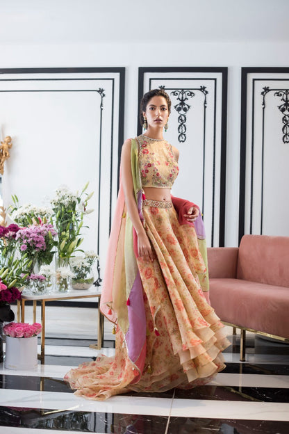 Organza Lehnga Choli