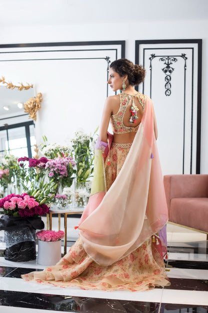 Organza Lehnga Choli