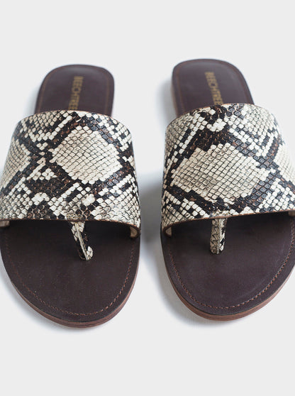 Beechtree - Footwear