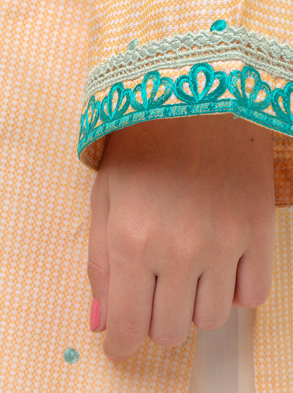 Beechtree - EMBROIDERED YARN DYED COTTON SHIRT (PRET)