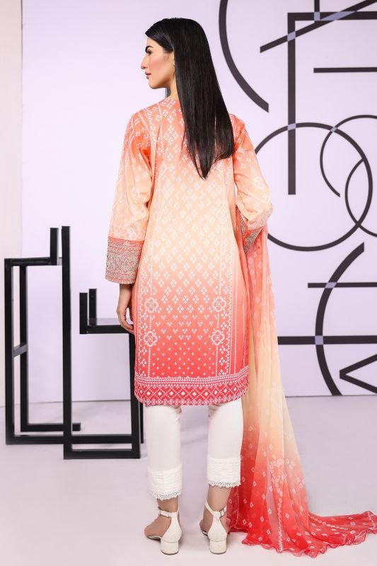 2 Pc Embroidered Suit