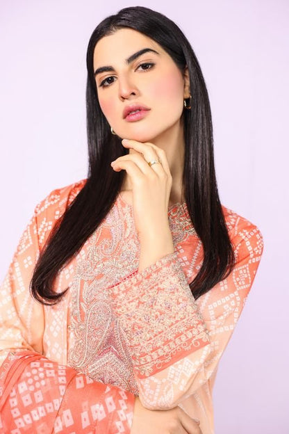 2 Pc Embroidered Suit