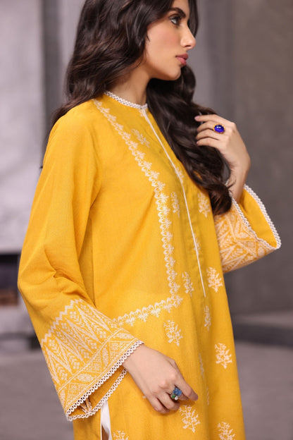 Alkaram - Dyed Embroidered Karandi Silk Kurti