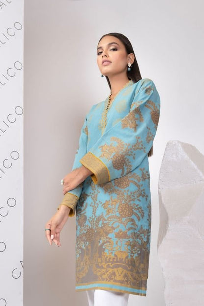 Dyed Embroidered Jacquard Kurti