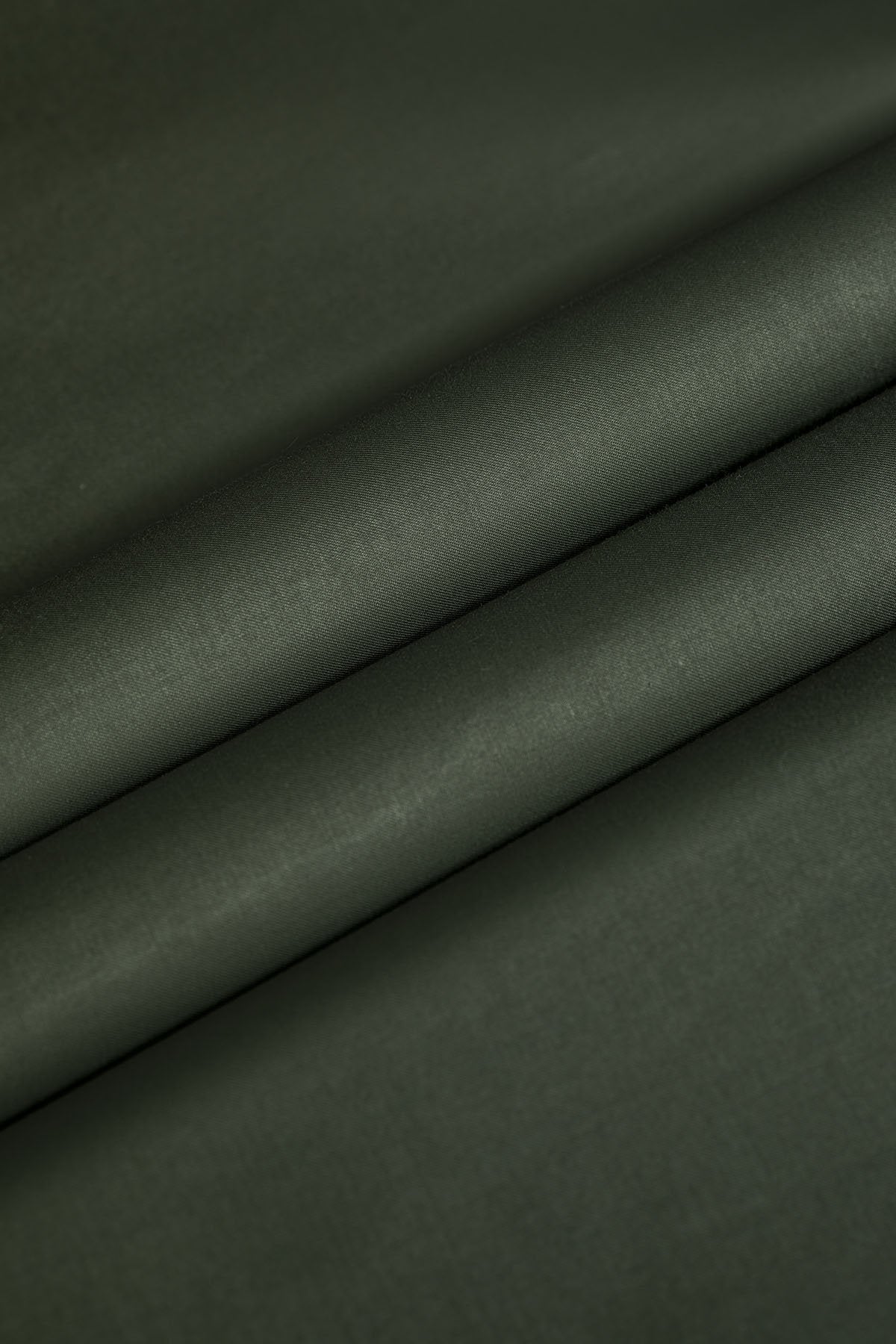 Evolution Egyptian Cotton