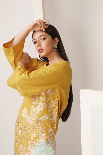 Dyed Embroidered Jacquard Kurti