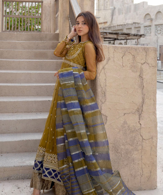 Sapphire - 2 Piece - Embroidered Organza Suit