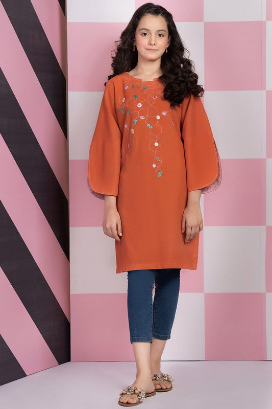 Dyed Embroidered Khaddar Kurti