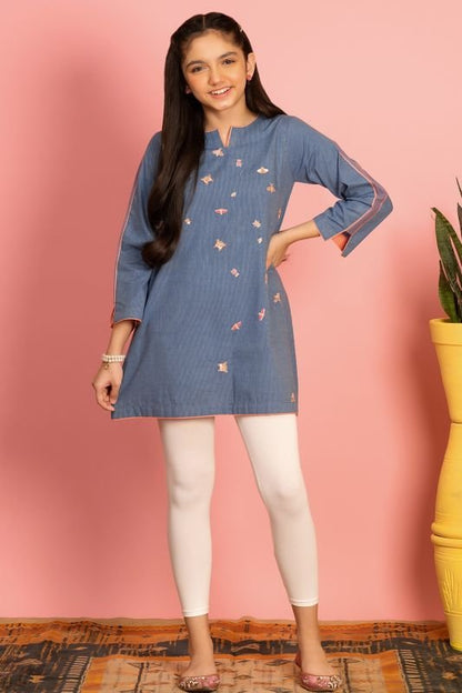 Dyed Embroidered Kurti