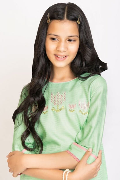 Alkaram - 2 Pc Dyed Jacquard Suit