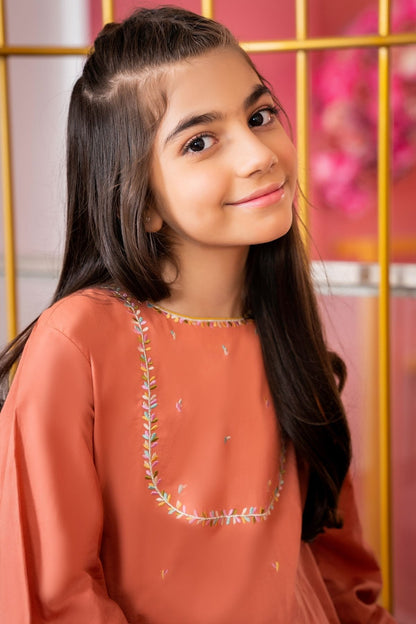 Alkaram - 2 Pc Embroidered Cambric Suit
