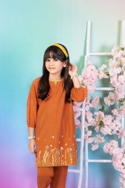 Alkaram - 2 Pc Embroidered Yarn Dyed Outfit