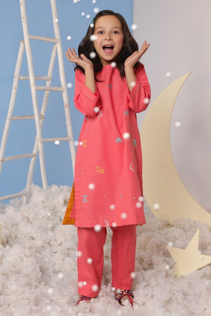 2 Pc Embroidered Khaddar Outfit