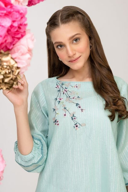 Dyed Embroidered Jacquard Kurti