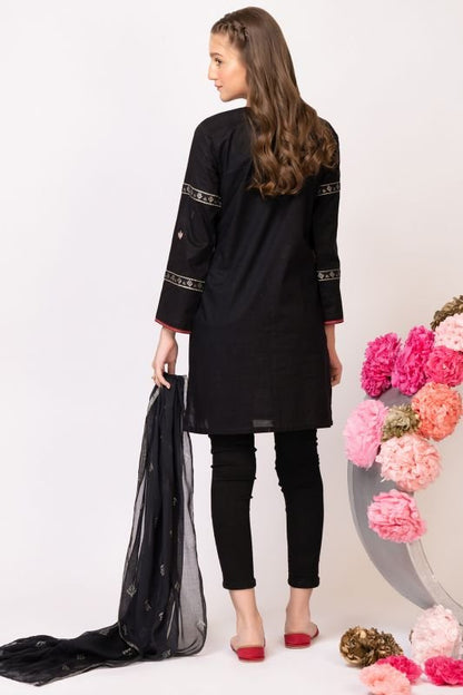 2 Pc Cambric Embroidered Suit