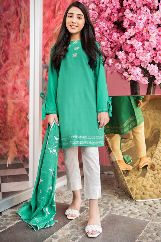 Alkaram - 2 Pc Embroidered Cambric Suit