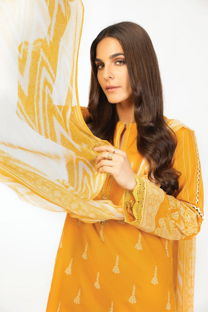 3 Pc Printed Cambric Suit With Chiffon Dupatta
