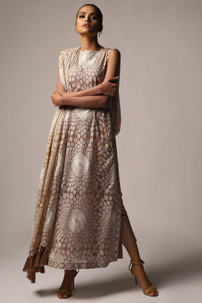 Embroidered Poly Chiffon Fabric (Sold by Per Meter)