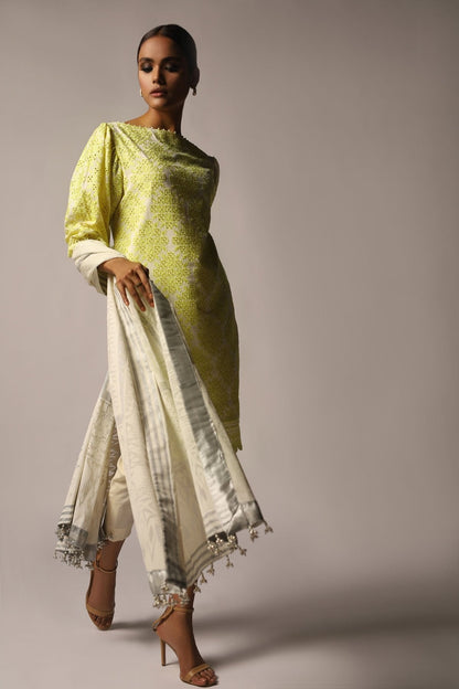 Schiffli Embroidered Fabric (Sold by Per Meter)