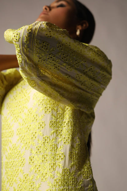 Schiffli Embroidered Fabric (Sold by Per Meter)