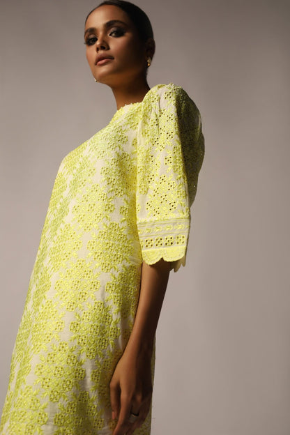 Schiffli Embroidered Fabric (Sold by Per Meter)